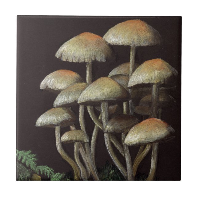 Carreau Champignons (Devant)