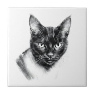 Carreau Charbon de Chat