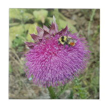 Chardon d'inclination de tête -