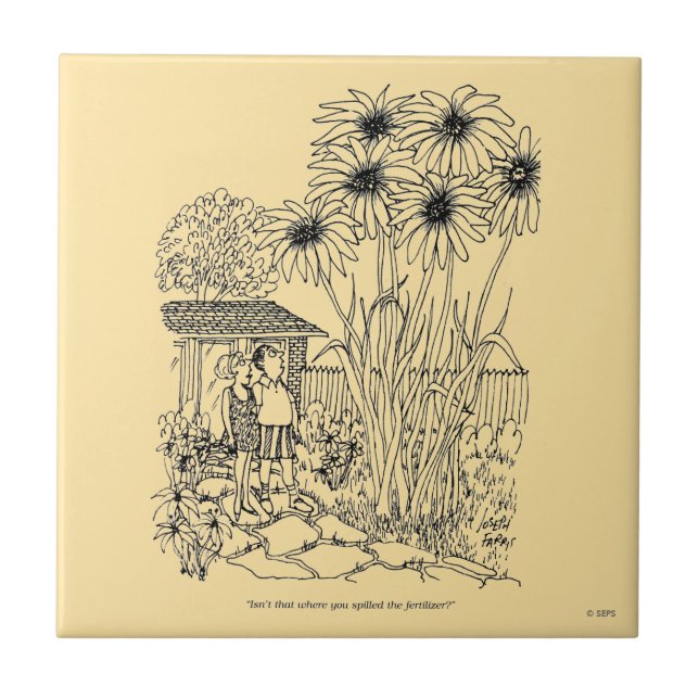 Carreau Chargeur d'oiseaux vide (Devant)