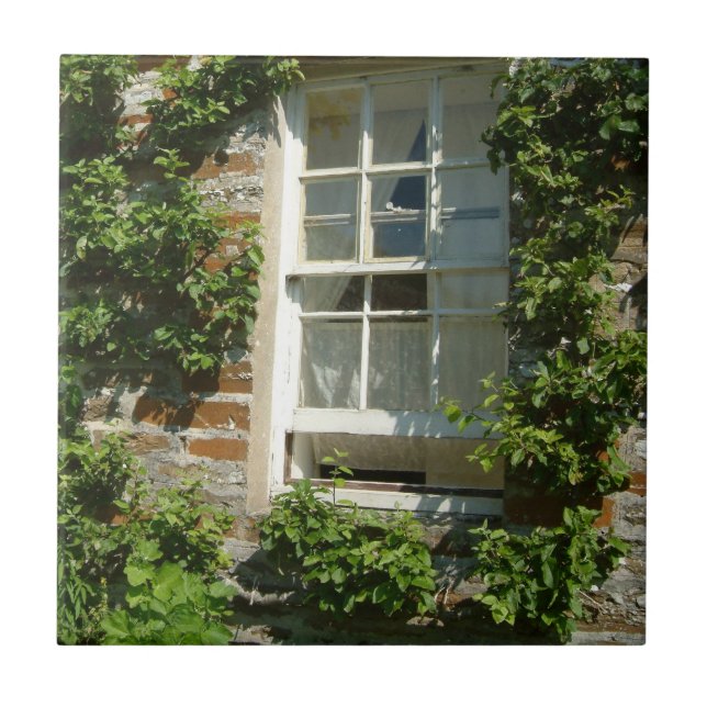 Carreau Charmant cottage anglais I (Devant)