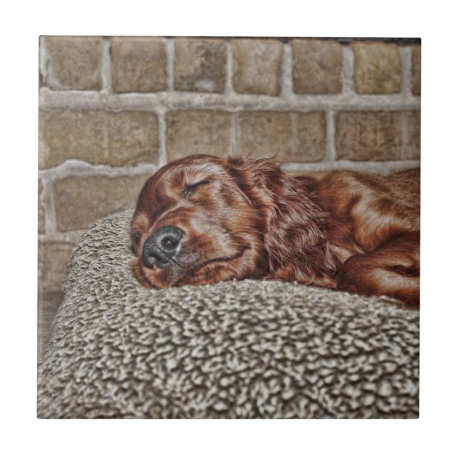 Carreau Charme (Devant)