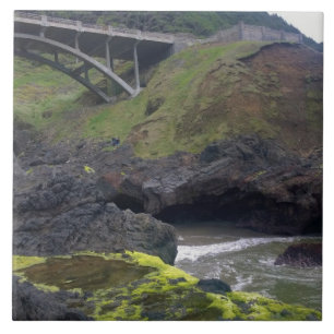 Carreau Chasme de Cook, Cape Perpetua, OU