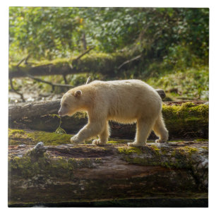 Carreau Chasse de l'ours esprit blanc