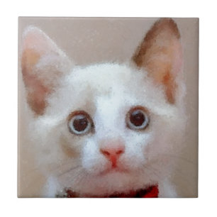 Carreau chat 3