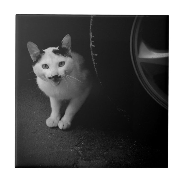 Carreau Chat avec Moustache (Devant)