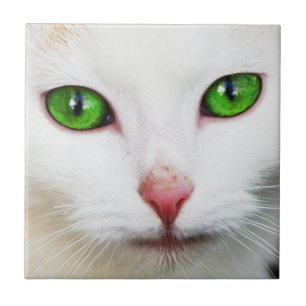 Carreau Chat avec tuile verte aux yeux