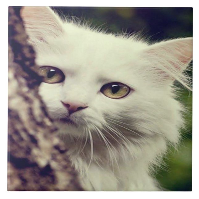 Carreau Chat blanc (Devant)