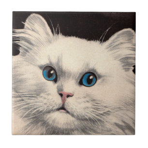 Carreau chat blanc aux yeux bleus