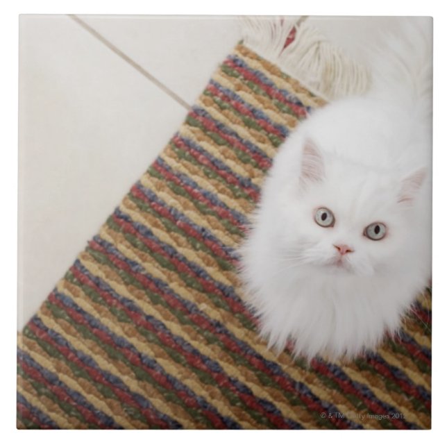 Carreau Chat blanc se reposant sur le tapis (Devant)