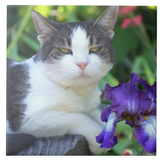Carreau Chat dans le jardin (Devant)