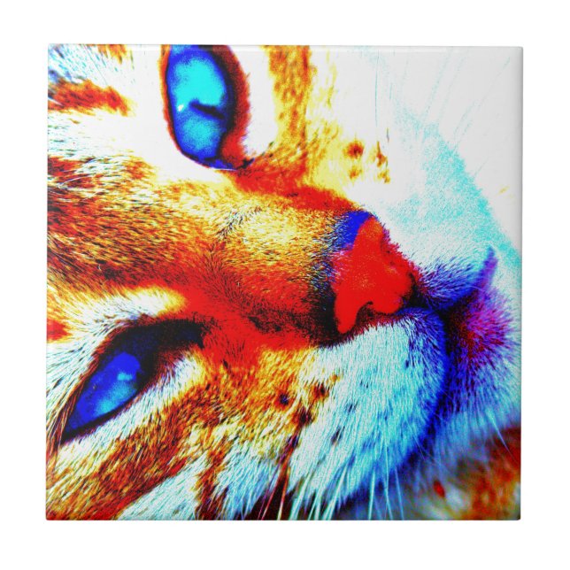 Carreau Chat d'aquarium populaire (Devant)