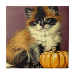 Carreau Chat d'Halloween Ragdoll vintage