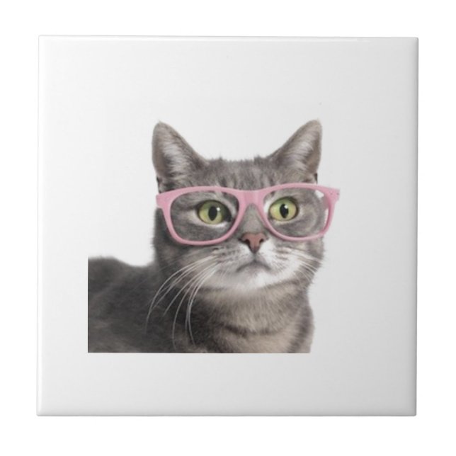Carreau Chat drôle (Devant)