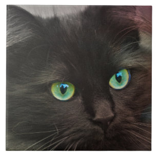Carreau Chat noir avec le portrait de yeux verts