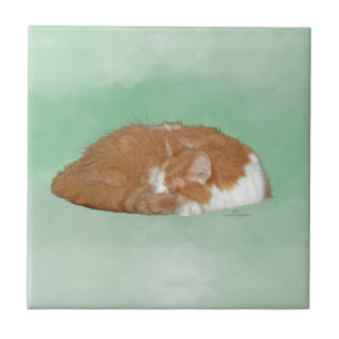 Carreau Chat orange endormi