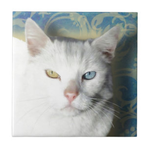 Carreau Chat - Patrick le Chat Blanc