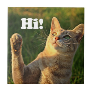 Carreau Chat roux disant bonjour !