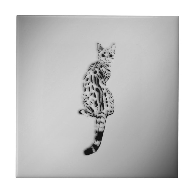 Carreau Chat Savannah pris par surprise argent (Devant)