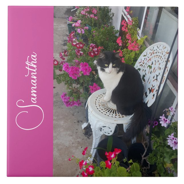 Carreau Chat smoking Cats et Fleurs Filles Nom Rose foncé (Devant)