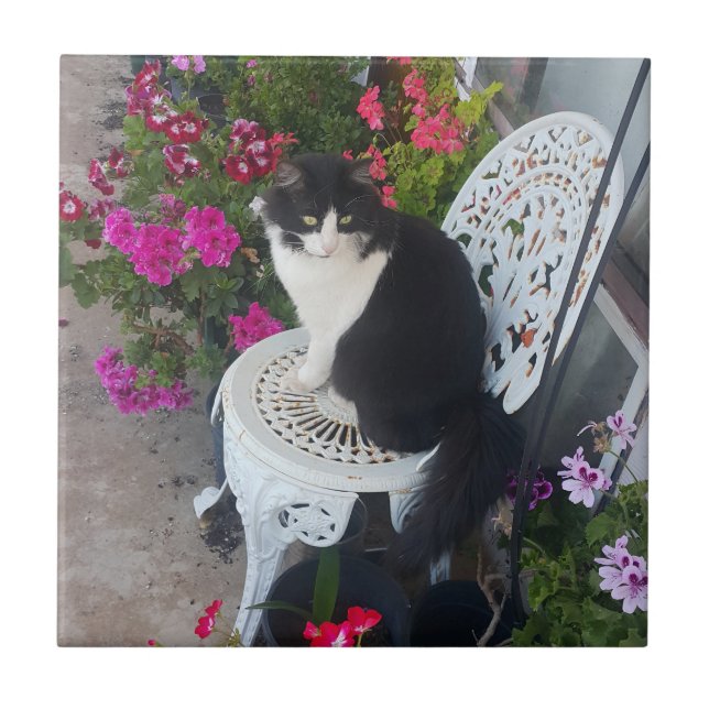 Carreau Chat smoking élégant mignon avec de jolies fleurs  (Devant)