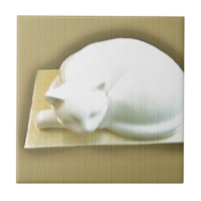 Carreau Chat sur Gold Box II (Devant)