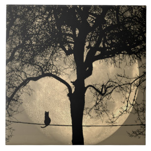 Carreau Chat sur une Pleine lune de fil