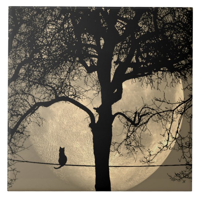 Carreau Chat sur une Pleine lune de fil (Devant)