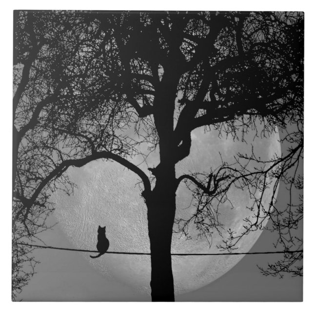 Carreau Chat sur une Pleine lune de fil (Devant)