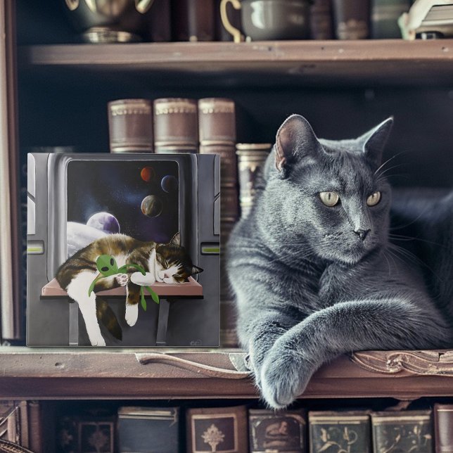 Carreau Chat tabby vaisseau spatial Peluche extraterrestre (Créateur téléchargé)