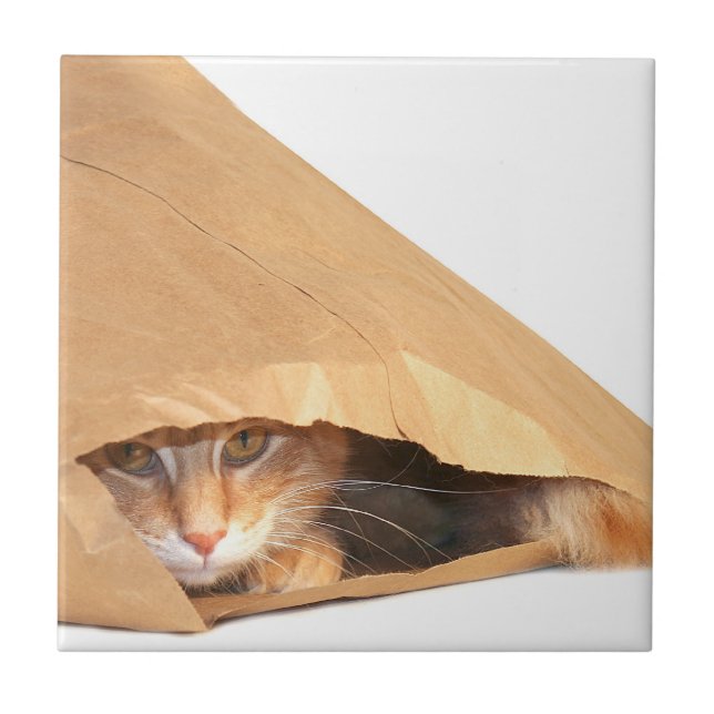 Carreau Chat tigré orange dans le sac (Devant)