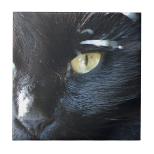 Carreau Chat vous observant