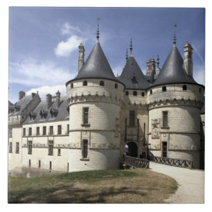 Carreau Château de Chaumont-Sur-Loire.