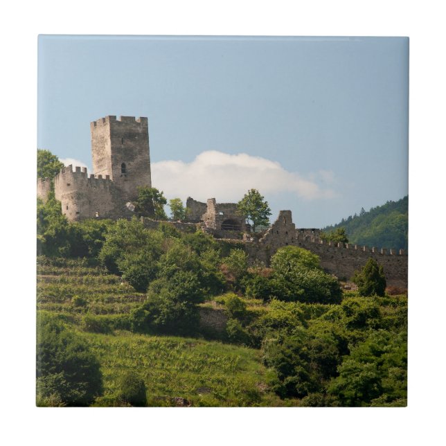 Carreau Château de Chevalier à Wachau Autriche (Devant)