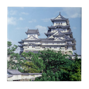 Carreau Château Himeji - Japon