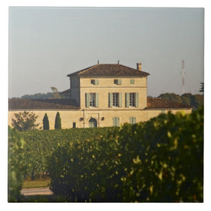 Carreau Château Lafleur Petrus et vignoble, à Pomerol,