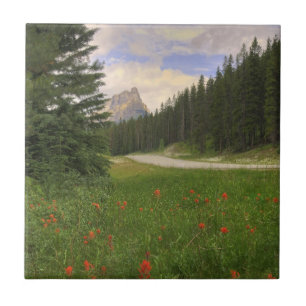 Carreau Château Mountain Banff