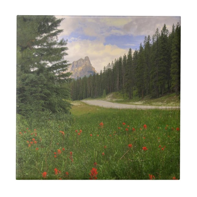 Carreau Château Mountain Banff (Devant)