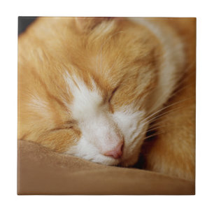 Carreau Chaton couchant