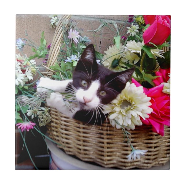 Carreau Chaton dans un panier (Devant)