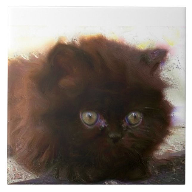 Carreau Chaton persan noir (Devant)