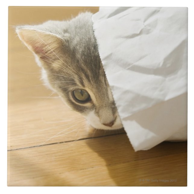 Carreau Chaton se cachant dans le sac de papier (Devant)