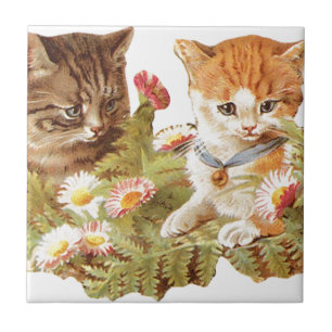 Carreau Chatons