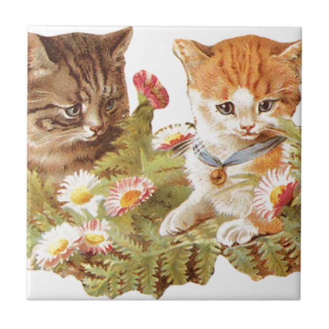 Carreau Chatons (Devant)