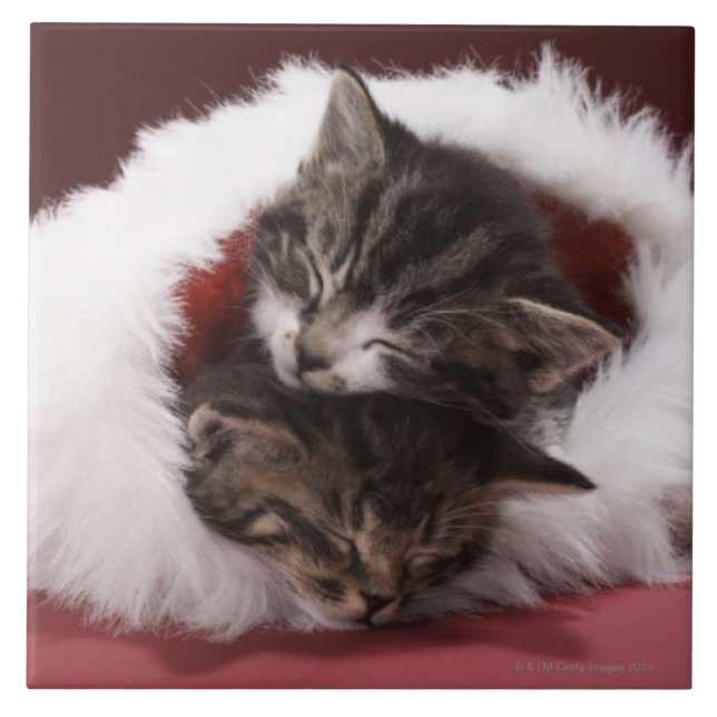 Carreau Chatons endormis ensemble dans le casquette de (Devant)