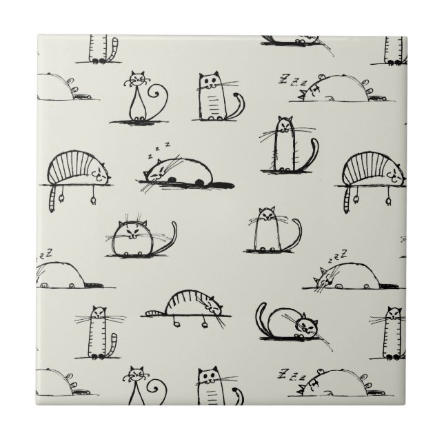 Carreau Chats peu précis (Devant)