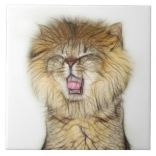 Carreau Chatte de lion roux
