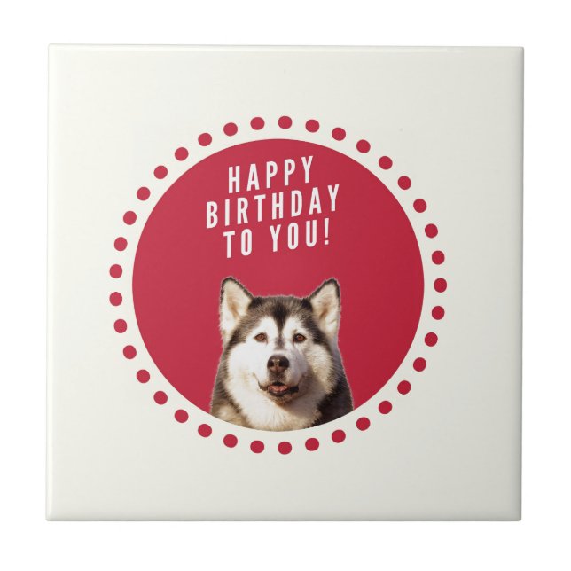 Carreau Chatte Sibérien Husky Chien Joyeux Anniversaire (Devant)