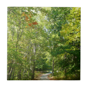 Carreau Chemin boisé centenaire I Ellicott City Nature