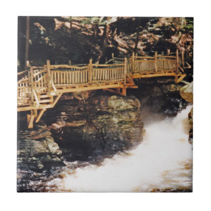 Carreau Chemin dangereux